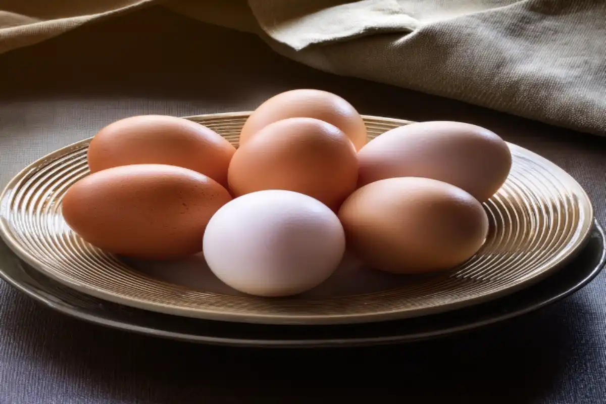 Eggs by the Dozen: The Ultimate Guide